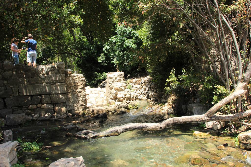 Olympos Mitos Hotel Ngoại thất bức ảnh