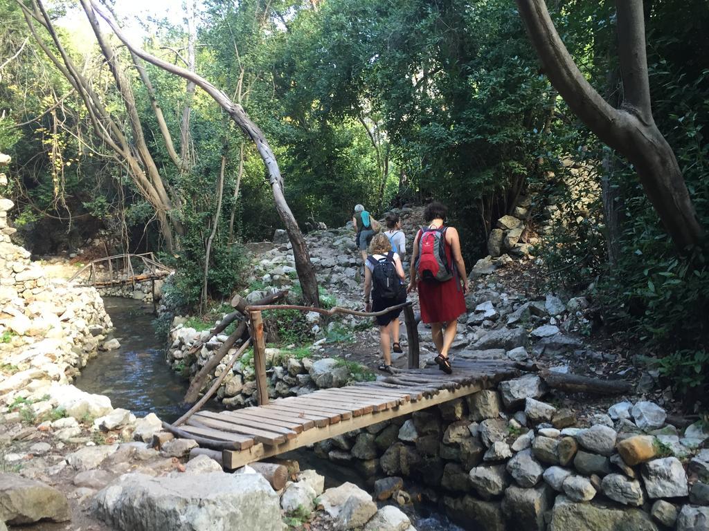 Olympos Mitos Hotel Ngoại thất bức ảnh