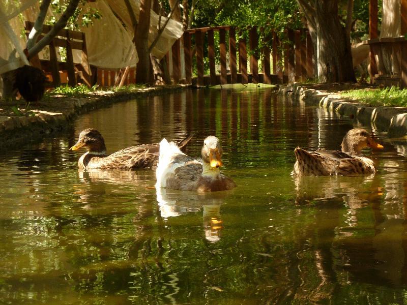 Olympos Mitos Hotel Ngoại thất bức ảnh